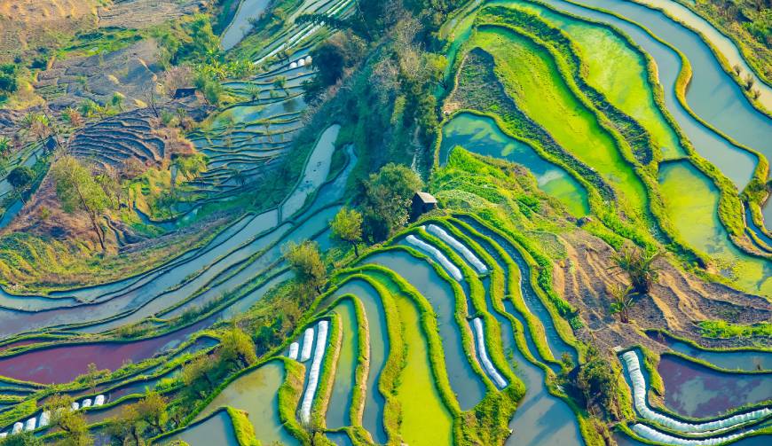 宝妈必备神器：秦州区产品视频拍摄轻松育儿好帮手